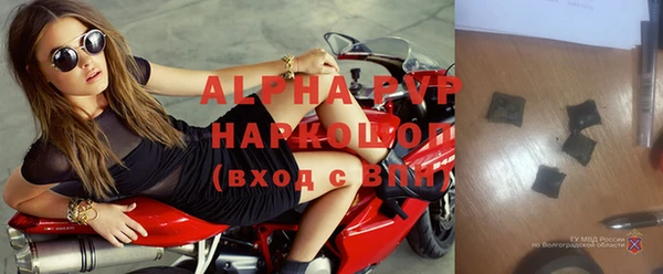 шишки Алзамай