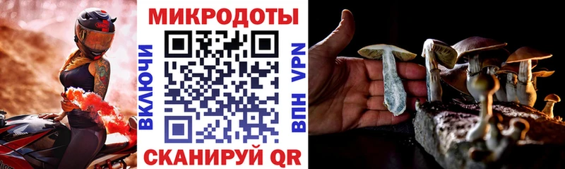 Галлюциногенные грибы мухоморы продажа наркотиков Аргун